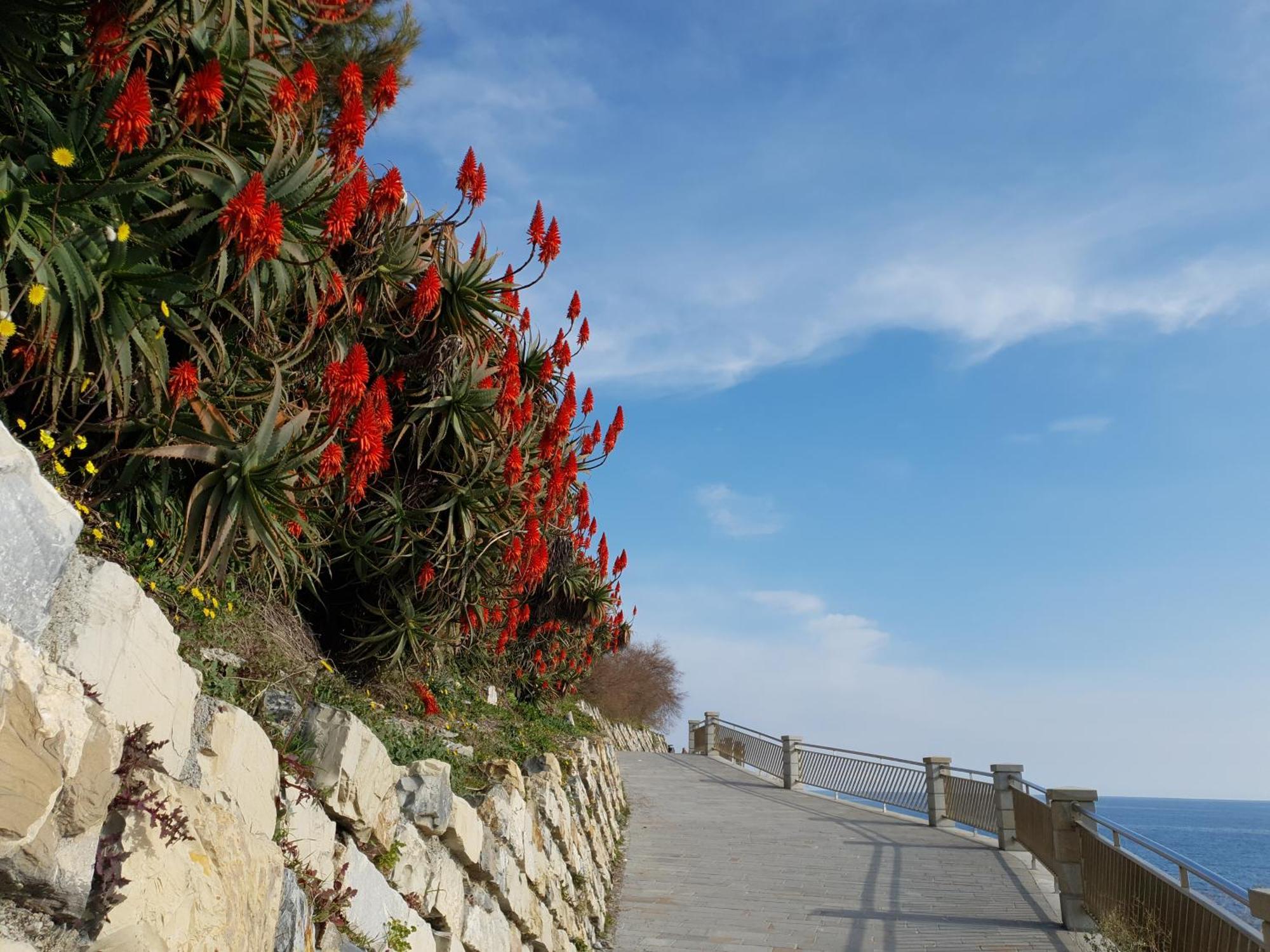 Adelebeppe "The Seaview" Apartment Imperia Bilik gambar
